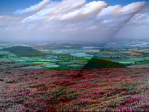 North Yorkshire Moors Image