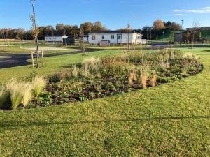 November at Gateforth Park