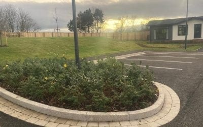 Autumn sun: November at Gateforth Park