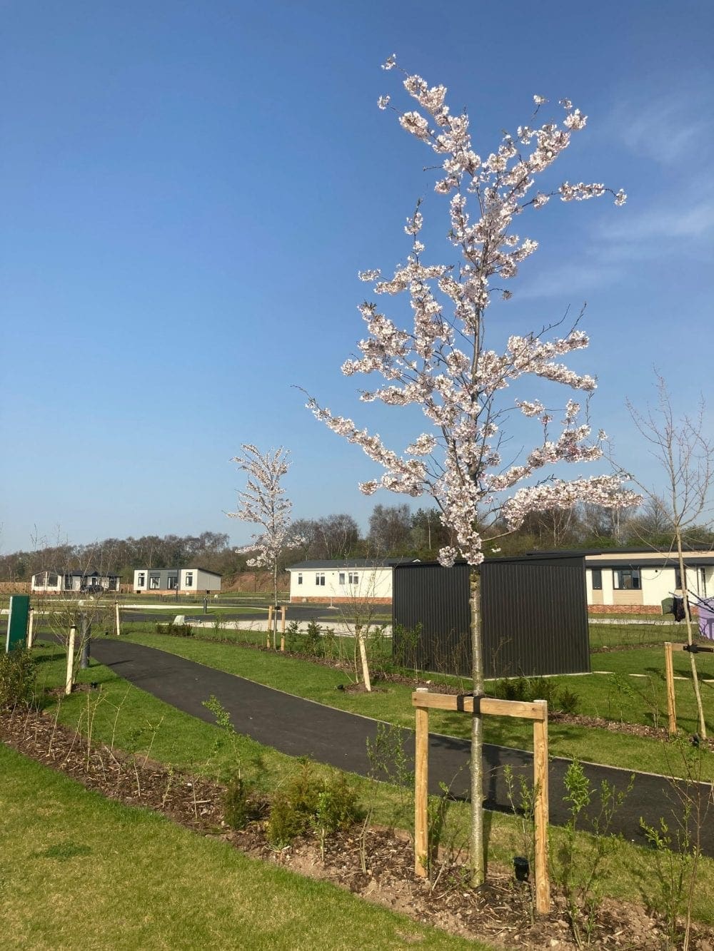 Blossom Gateforth Residential Park Homes
