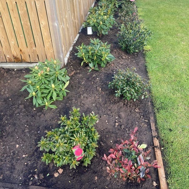 Flower Plants Garden Residential Park Homes