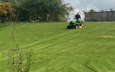 Growth and blooms at Gateforth Park