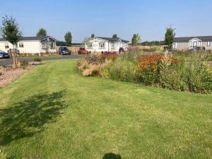 summer at Gateforth Park