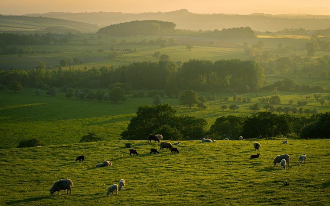 yorkshire dales