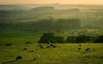 Best Places To Visit In Yorkshire During Your Retirement