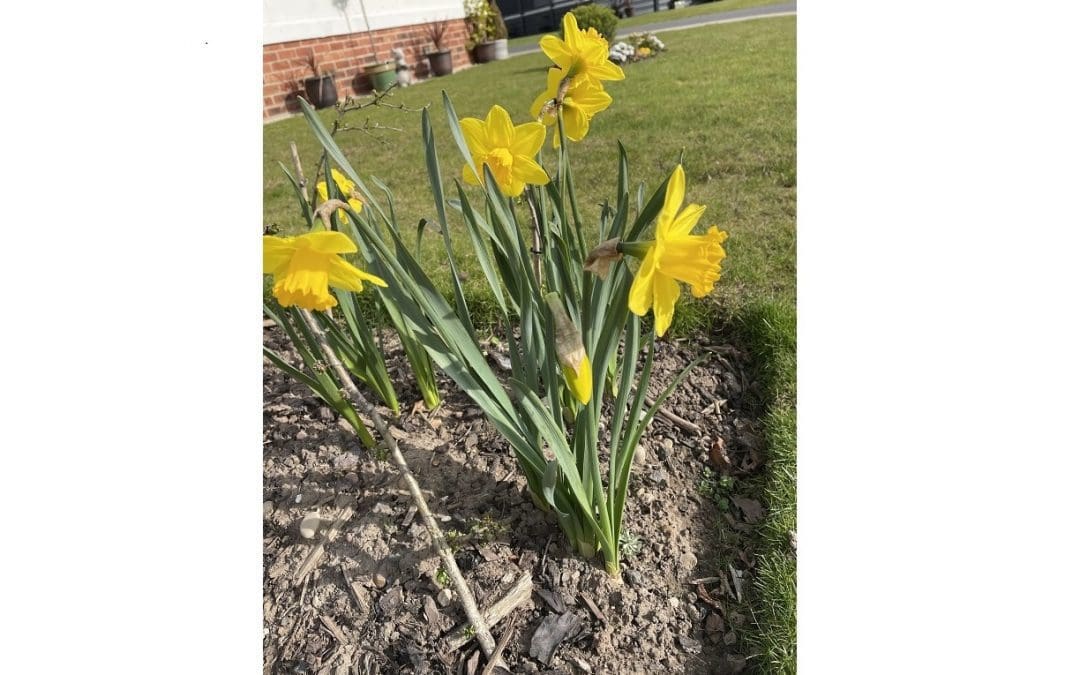 Hive of activity as spring arrives at Gateforth Park