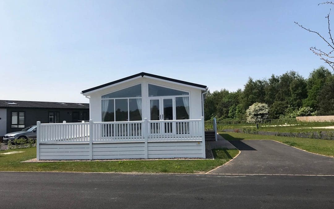 2 Lions Mane – Reserved