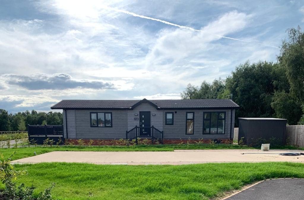 4 Lions Mane – Reserved