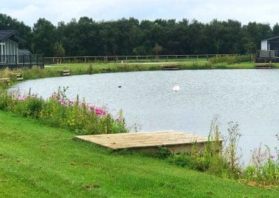 Swan swimming on a lake with a wooden dock in the background