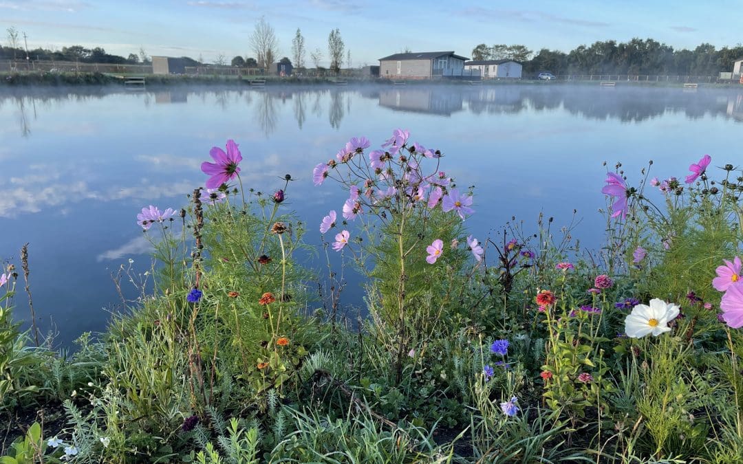 The Pros Of Owning a Residential Park Home