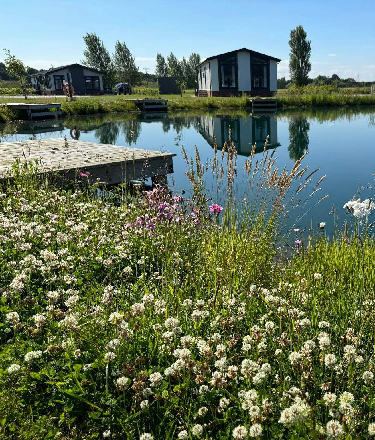 Fishing lake with flowers surrounding it