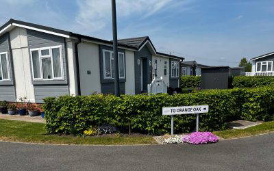 New owners and lots of activity at Gateforth Park