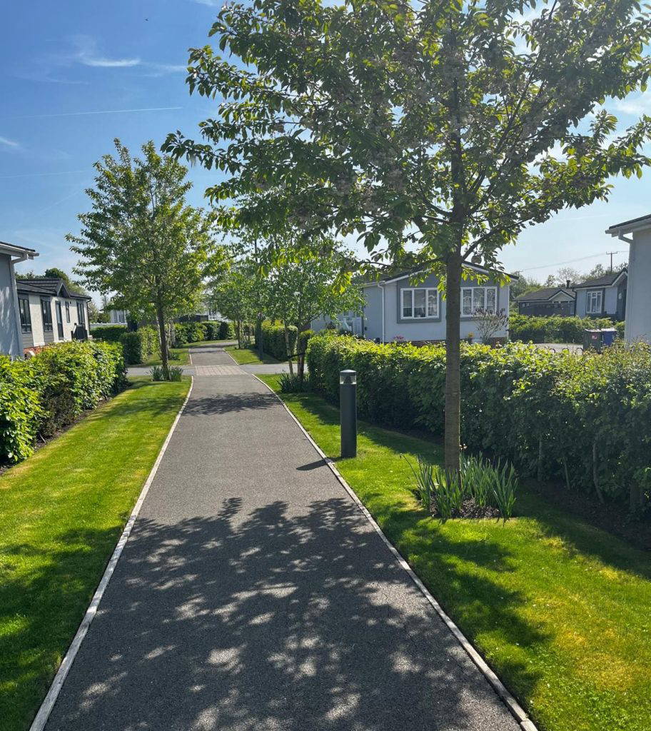 Pathway with greenery and the neighborhood around it